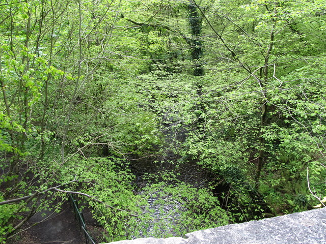 The Colin Glen river below Glen Bridge