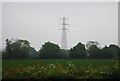 Pylon by Pearson