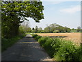 Part of Folly Lane, close to Melon Green