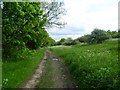 Mitcham Common alongside Windmill Road