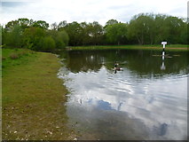 TQ2967 : One Island Pond, Mitcham Common by Marathon