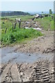 Rural scene near Clodhall Farm