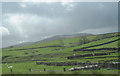 Fields at Long Gill