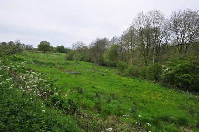 North Devon : Grassy Hillside