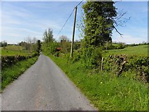 H5520 : Road at Drumacreeve by Kenneth  Allen