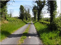 H5619 : Road at Rossnaglogh by Kenneth  Allen
