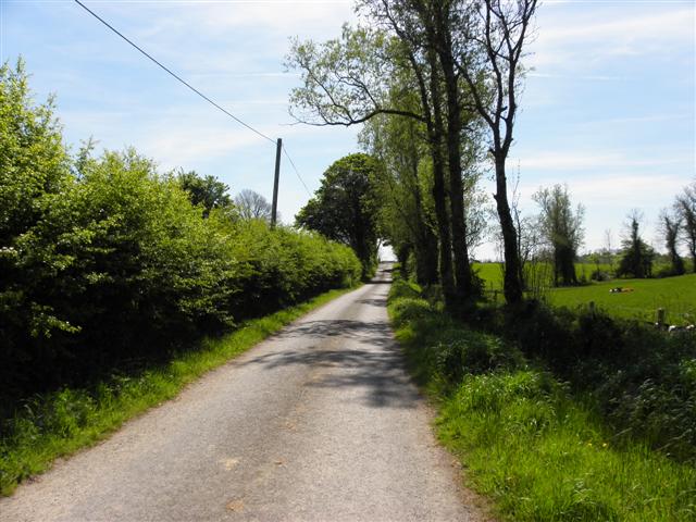 Road at Drumanan © Kenneth Allen cc-by-sa/2.0 :: Geograph Ireland