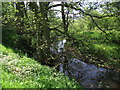 Dinckley Brook, Old Langho