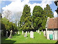 St. Peter, Pitton: churchyard (b)