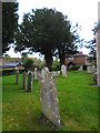 St. Peter, Pitton: churchyard (d)