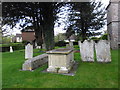 St. Peter, Pitton: churchyard (g)