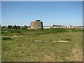 Green island surrounding Martello Tower