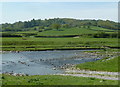 Afon Dulas near Llanidloes