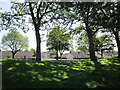 Looking towards Saxcourt, Orchard Park Estate