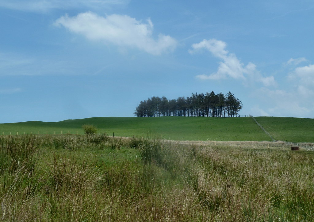 rough-grazing-improved-grazing-and-a-andrew-hill-cc-by-sa-2-0