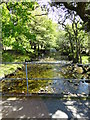 Lochranza  river