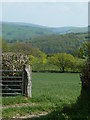 Field overlooking valley