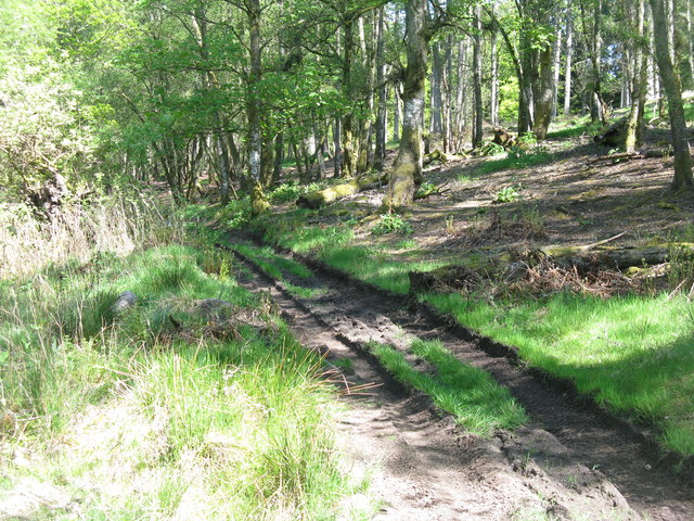 The Cateran Trail at Bamff