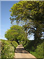 Lane near Upton