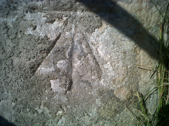 Ordnance Survey Benchmark - Llanwnnen,... © N Scott :: Geograph Britain ...