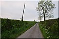 North Devon : Countryside Road