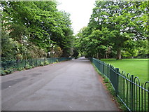 J3372 : Walkway through the Botanic Gardens by Eric Jones