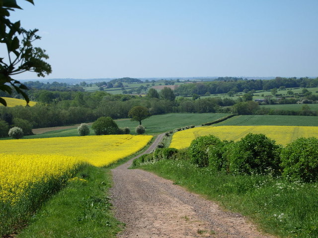 Notts NG16 © David Hallam-Jones :: Geograph Britain and Ireland