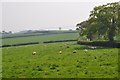 SS9609 : Mid Devon : Countryside Scenery by Lewis Clarke