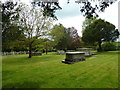 St Mary, Blandford St Mary: a verdant churchyard