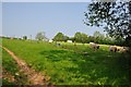 SS9609 : Mid Devon : Grassy Field & Sheep Grazing by Lewis Clarke