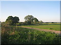 View alongside the railway