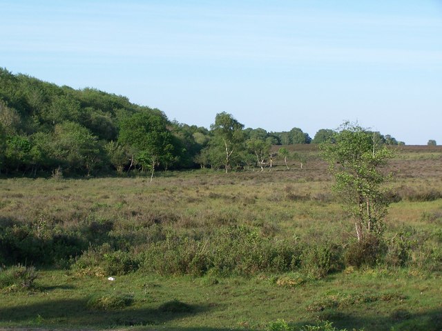 Matley Bog © David Martin cc-by-sa/2.0 :: Geograph Britain and Ireland