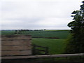 Farmland east of the M1 near Roade, from disused railway bridge