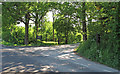 Road entrance to Norsey Wood