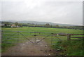 Gate and field by the A29