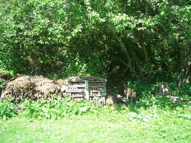 Insect House next to compost heap at West Grinstead Station