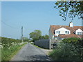 Looking north-east along Bilsham Lane