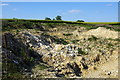 Small quarry in a field by Queens Oak