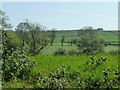 Farmland north of Manor Farm