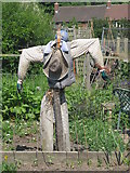 SE2610 : Scarecrow on the Allotments by Dave Pickersgill