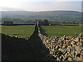 Shaw Lane heading for Gayle