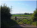 Pylons seen from Cromhall Lane