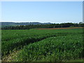 Farmland near Blackwell Lodge