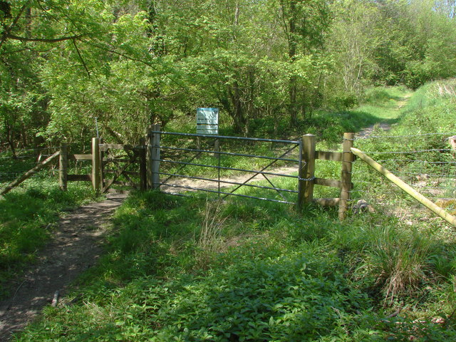 Noar Hill nature reserve © Alan Hunt cc-by-sa/2.0 :: Geograph Britain ...