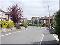 Canford Grove - Canford Drive