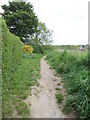 Footpath - Manscombe Road