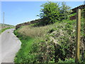 A path to Woodhead Farm