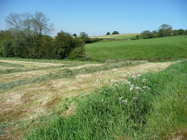 Corner of a recently mown hayfield