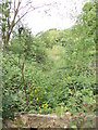 Footpath - end of Chellow Lane