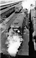 SX9192 : Exeter Central, with Bulleid Light Pacifics and other trains by Ben Brooksbank